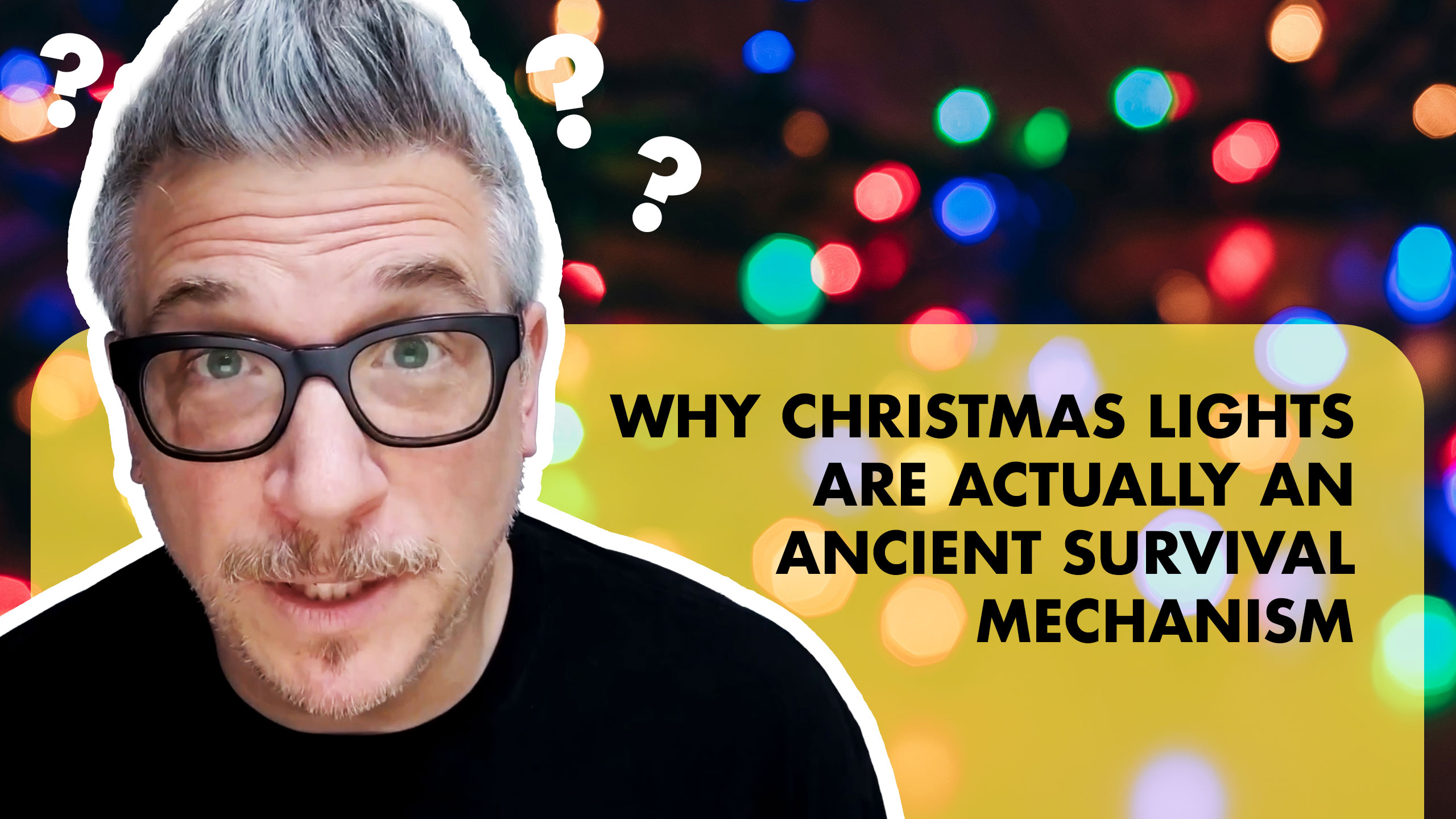 Image for Why Christmas Lights Are Actually An Ancient Survival Mechanism
